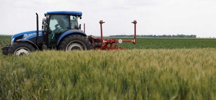 Inician Rusia y Ucrania discusiones sobre exportación de cereales Inician Rusia y Ucrania discusiones sobre exportación de cereales