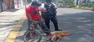 Patrulla de Policía de Neza ayudó a civil a trasladar a su perro herido