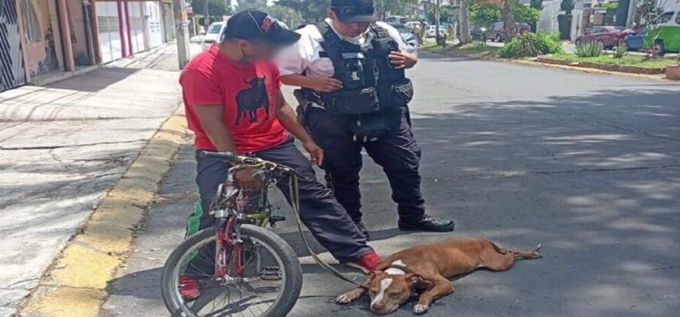 Patrulla de Policía de Neza ayudó a civil a trasladar a su perro herido