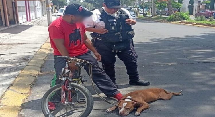 Patrulla de Policía de Neza ayudó a civil a trasladar a su perro herido