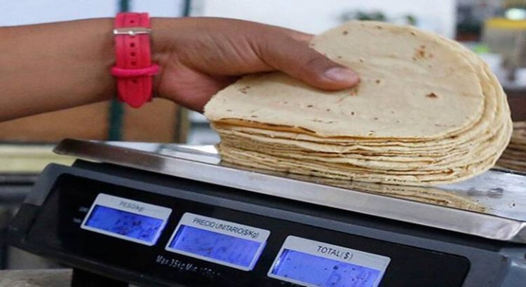 Anuncian aumento de precio a la tortilla en Edomex
