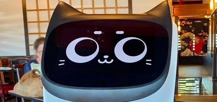 Gato, mesero y robot
