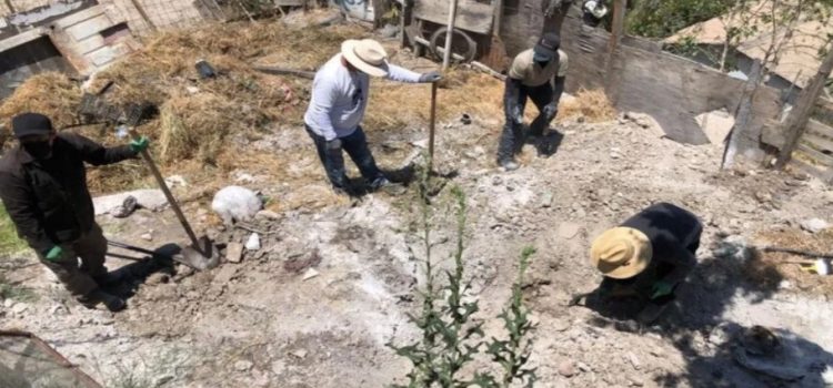 Existen 2,800 muertos sin identificar en el Edomex