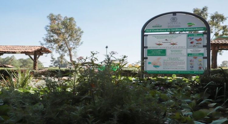 Solicitan instalar polinizadores en parques públicos del Edomex