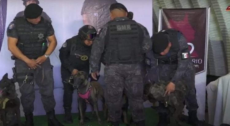 Utilizan fuerzas K9 para operativo Mochila Segura en Neza