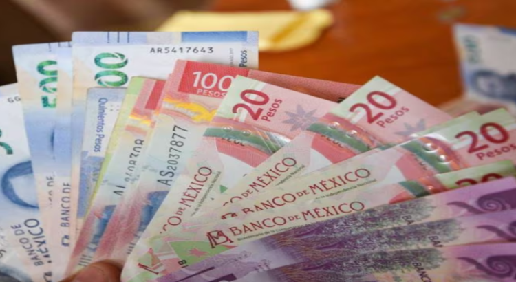Crean el ‘Credito Colibrí Emprende’ en Edomex