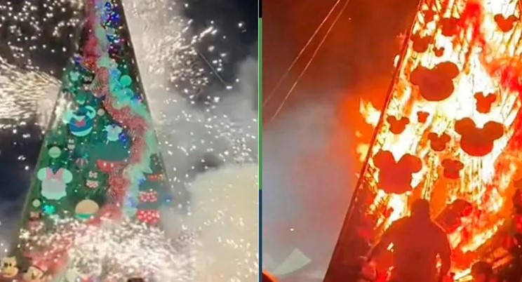 Literal, acudieron al encendido del árbol navideño