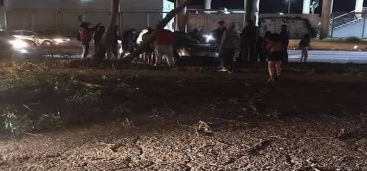 Fallece mujer en accidente vial sobre Avenida Central en Neza