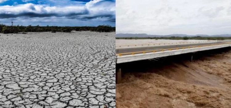 Más del 90% del Edomex padece sequía