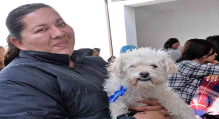 Convocan a vecinos a participar en “La Carrera + Perrona” en Neza