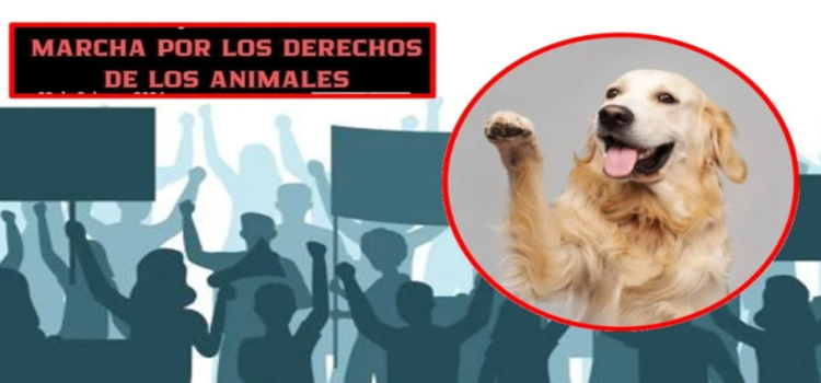 Marcharán por la defensa de los animales en Nezahualcóyotl