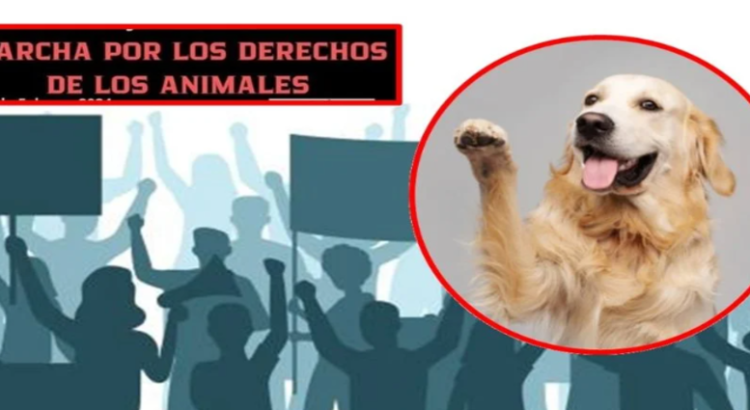 Marcharán por la defensa de los animales en Nezahualcóyotl