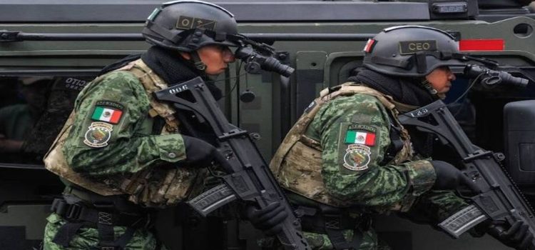 Sedena decomisó 43 kg de cocaína durante enero en Edomex