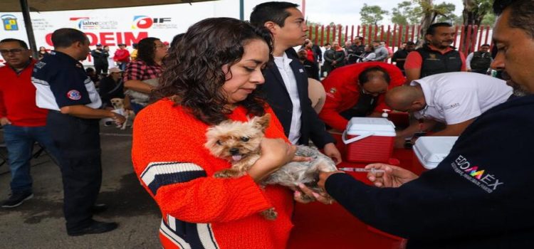 Inicia campaña de vacunación Antirrábica Canina y Felina en Edomex