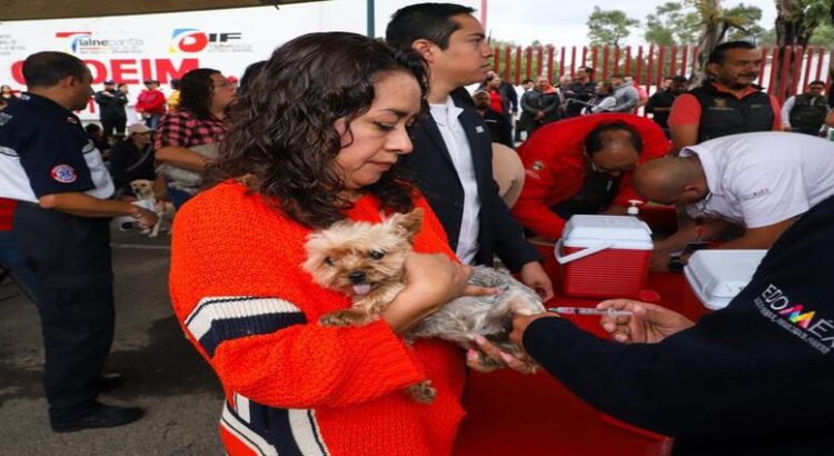 Inicia campaña de vacunación Antirrábica Canina y Felina en Edomex