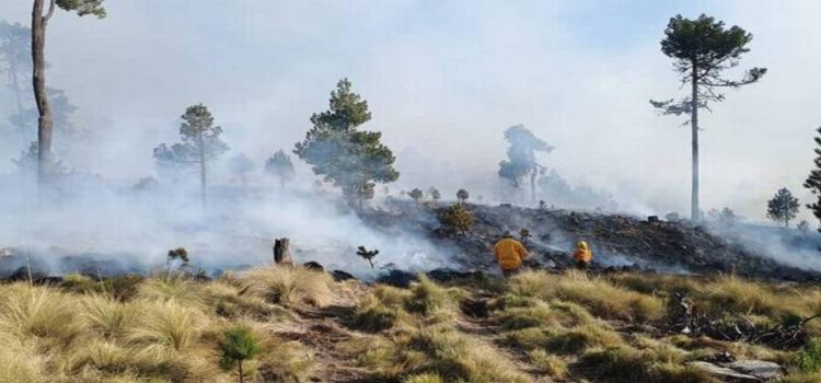 Se han registrado 218 incendios durante primeros meses del 2024 en Edomex