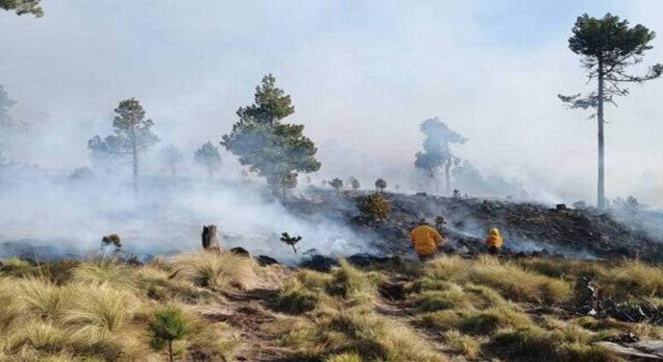 Se han registrado 218 incendios durante primeros meses del 2024 en Edomex