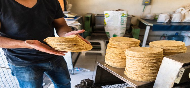 Sube el precio de la tortilla en Neza por escasez de agua
