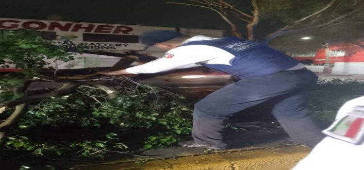 Fugas de agua, cortes de energía, caída de árboles y otros daños, dejaron fuertes ventarrones en Neza