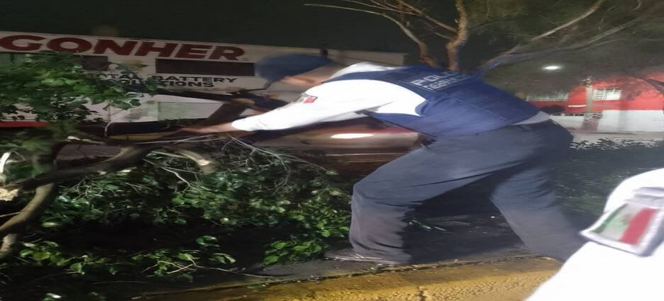 Fugas de agua, cortes de energía, caída de árboles y otros daños, dejaron fuertes ventarrones en Neza