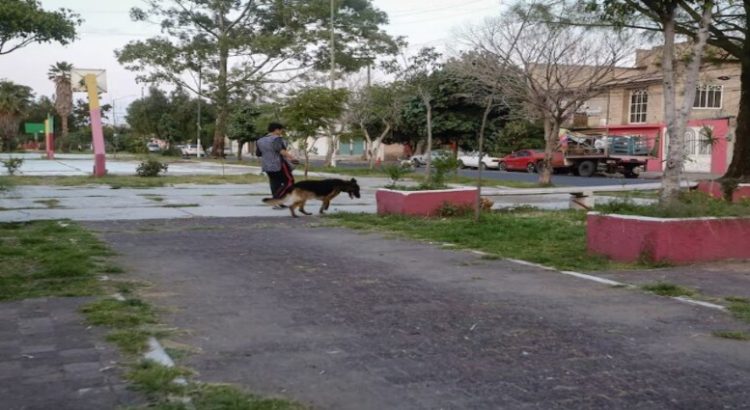 Lugar de esparcimiento para adultos mayores en Neza se encuentra en el descuido total