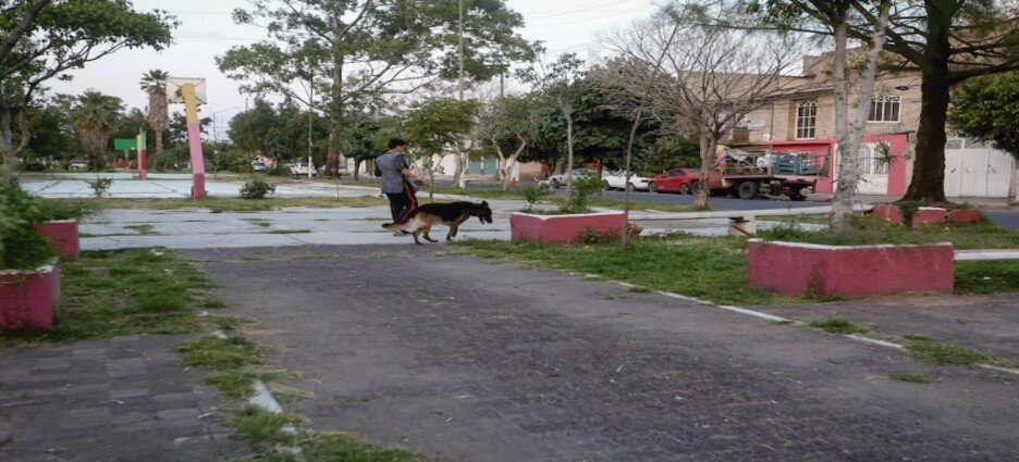 Lugar de esparcimiento para adultos mayores en Neza se encuentra en el descuido total