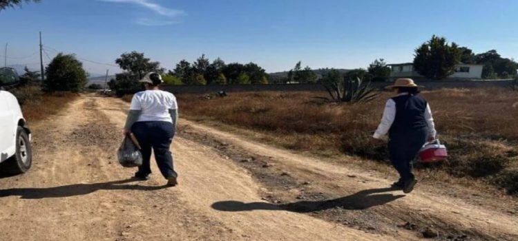 Brigadas Intensivas de Vacunación han aplicado más de 317,000 dosis en comunidades de Edomex