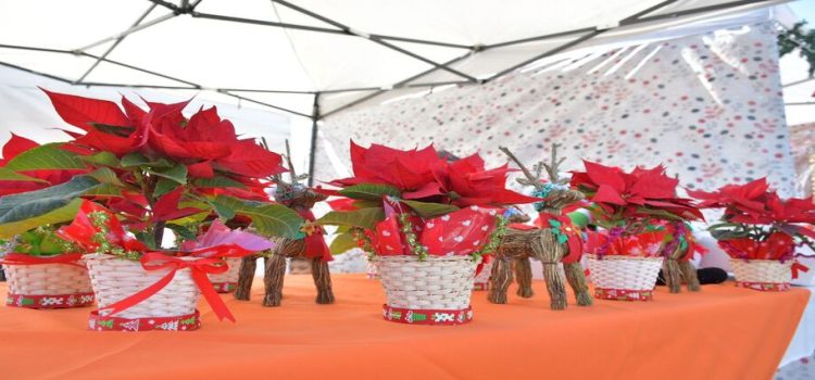 Gobierno impulsara a comercio local por medio de bazar “Raices Nezahualcoyotl”
