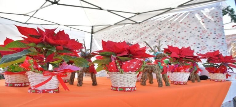 Gobierno impulsara a comercio local por medio de bazar “Raices Nezahualcoyotl”