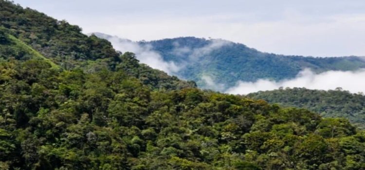 Congreso de Edomex cuenta con 32 iniciativas sobre Código para la Biodiversidad