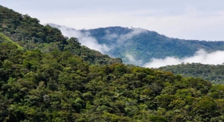 Congreso de Edomex cuenta con 32 iniciativas sobre Código para la Biodiversidad