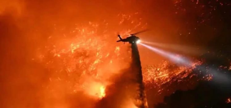 Crisis de seguros en California: cancelaciones masivas de pólizas tras incendios forestales