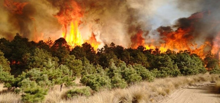 Han ocurrido 6 incendios en lo que va del año 2025 en Edomex