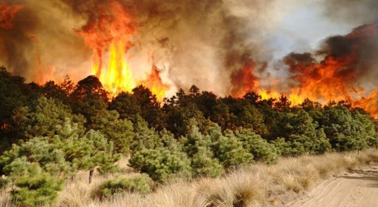 Han ocurrido 6 incendios en lo que va del año 2025 en Edomex