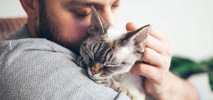 Mujer demandó a su marido por crueldad… prefería al gato que a ella Mujer demandó a su marido por crueldad… prefería al gato que a ella