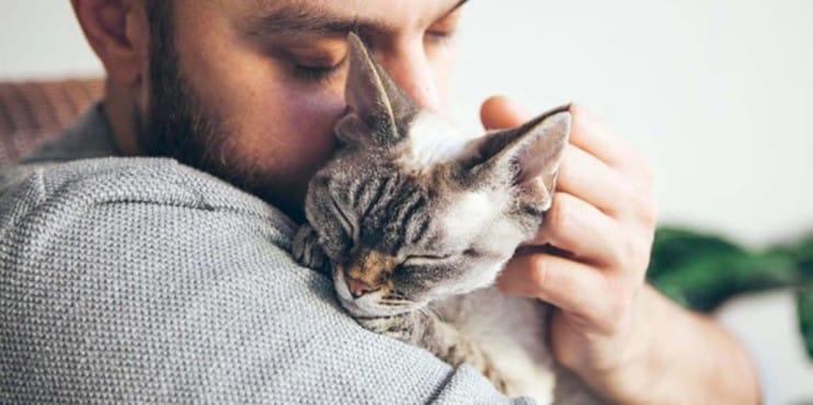 Mujer demandó a su marido por crueldad… prefería al gato que a ella
