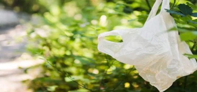 Comerciantes del Edomex solicitan alternativas para no usar bolsas de plástico Comerciantes del Edomex solicitan alternativas para no usar bolsas de plástico