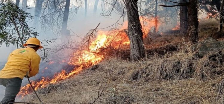 Elementos de Protección Civil y Bomberos de Edomex se preparan ante temporada de incendios forestales