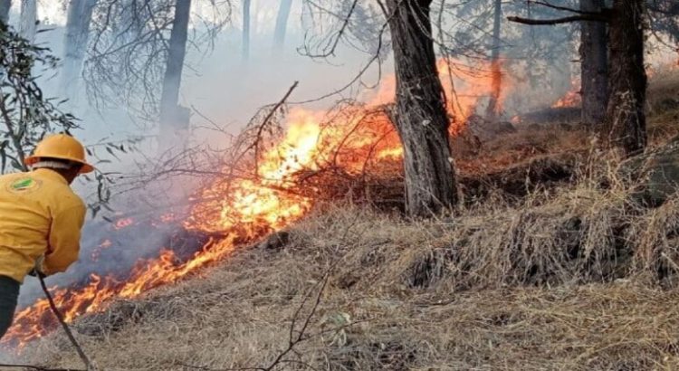 Elementos de Protección Civil y Bomberos de Edomex se preparan ante temporada de incendios forestales
