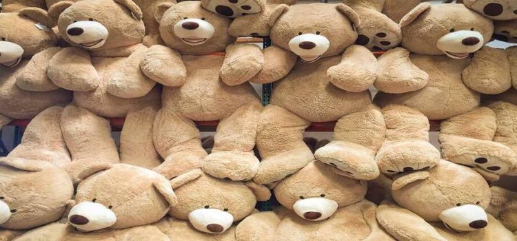 Neza tendrá una feria de peluches Neza tendrá una feria de peluches