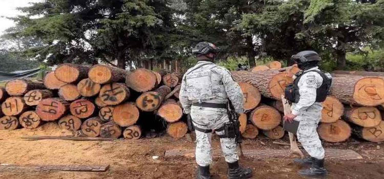 Gobernadora Delfina Gómez propone endurecer penas contra talamontes en el Edomex