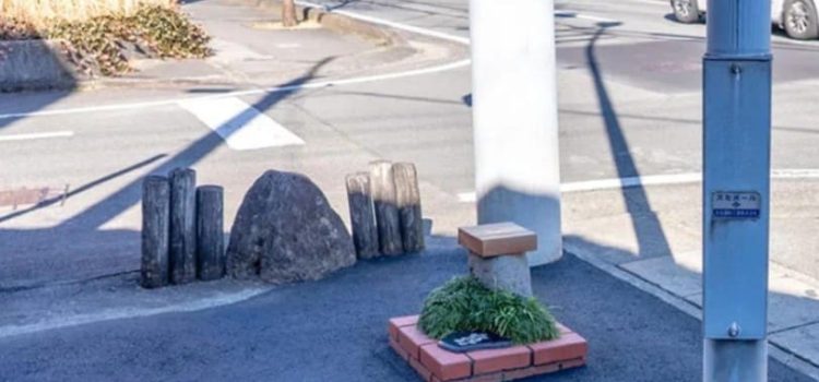 Japón rompe récord mundial con el parque más pequeño del mundo
