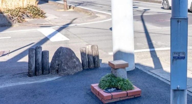 Japón rompe récord mundial con el parque más pequeño del mundo