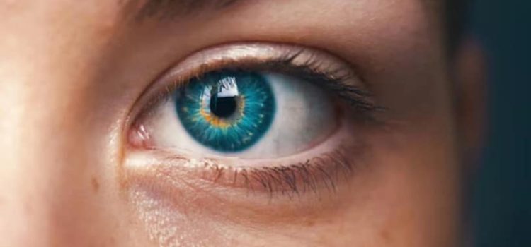 Científicos descubrieron un nuevo color