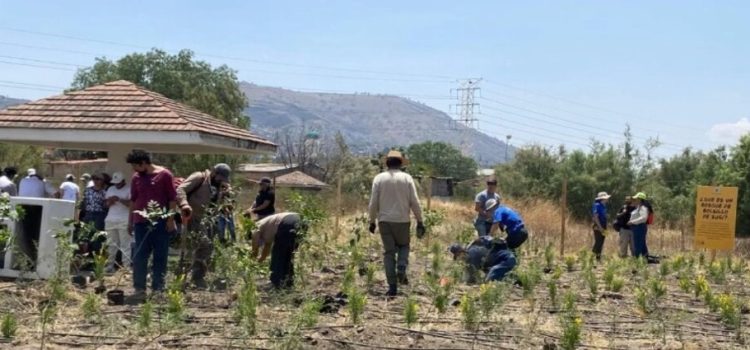 Crean primer “Bosque de bolsillo” en Nezahualcóyotl