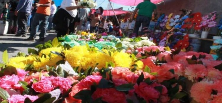Día de las madres dejará derrama económica de más de 8,000 MDP en Edomex Día de las madres dejará derrama económica de más de 8,000 MDP en Edomex