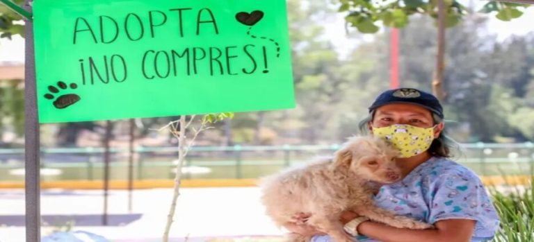 Lanzan programa para adopción de perros rescatados en Neza
