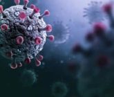 Emite la OMS alerta por virus Stratus
