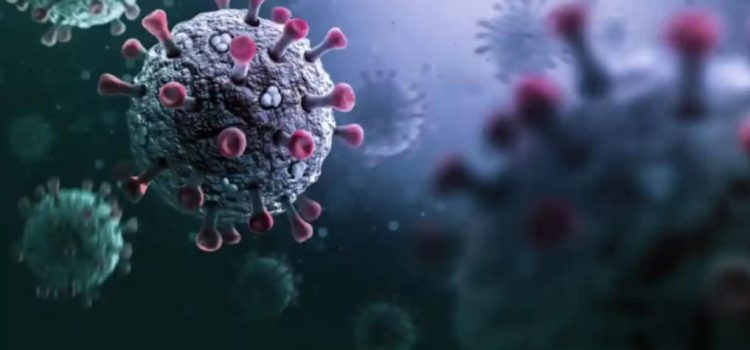 Emite la OMS alerta por virus Stratus