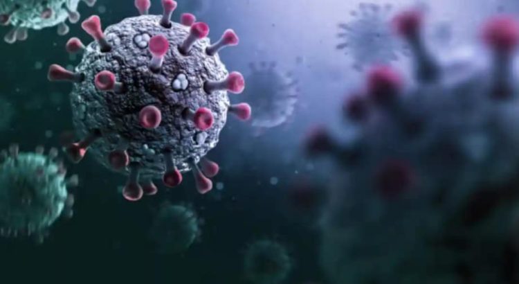 Emite la OMS alerta por virus Stratus